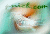 animation logo pnich.com