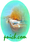 pnich.com