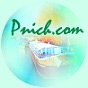 logo pnich